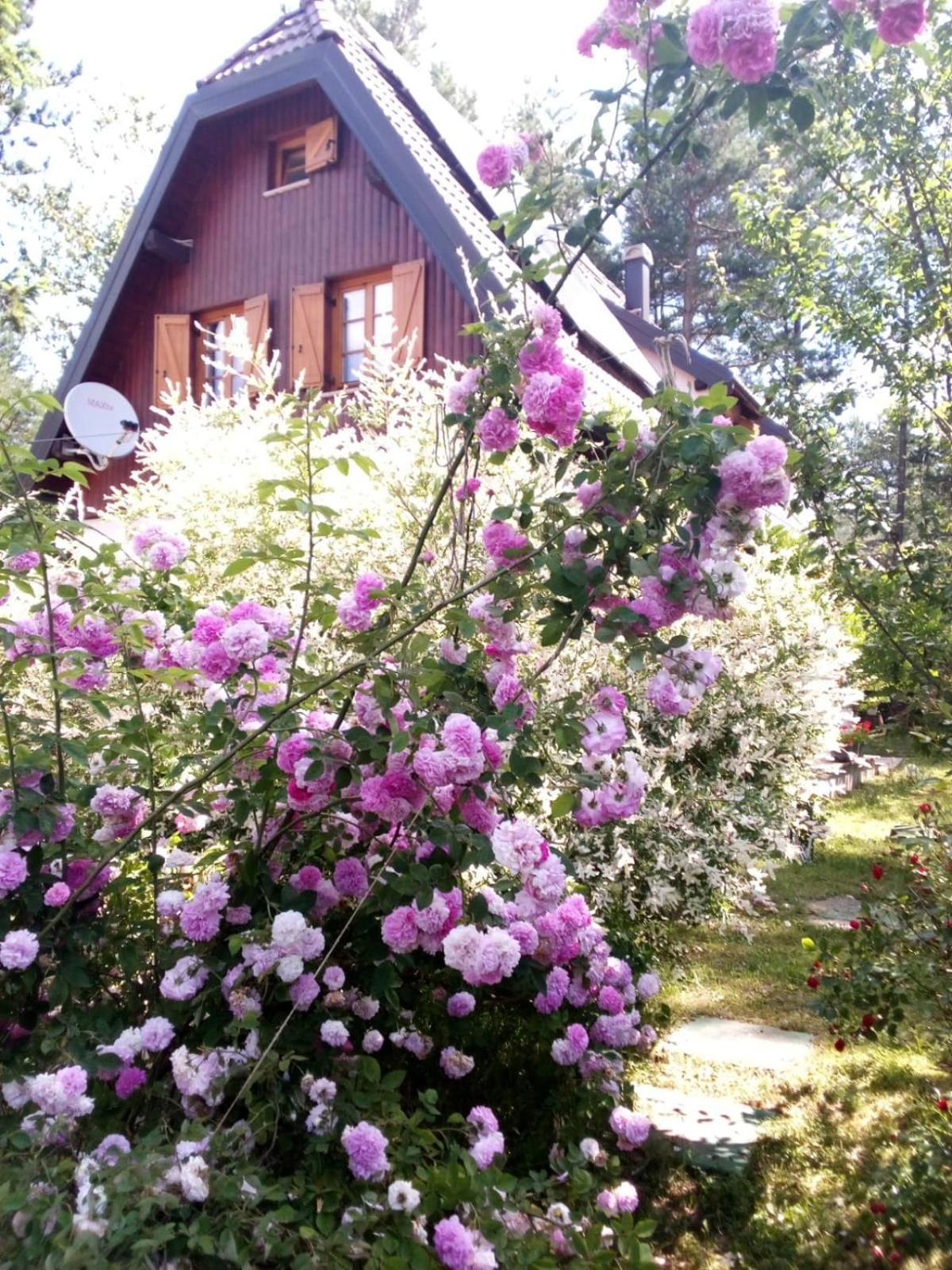 Plitvice Lakes Holiday Lodge Rudanovac 外观 照片